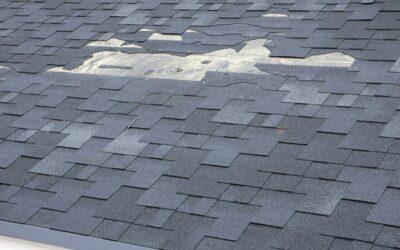 The Importance of Professional Roof Maintenance in Bridgeman Downs
