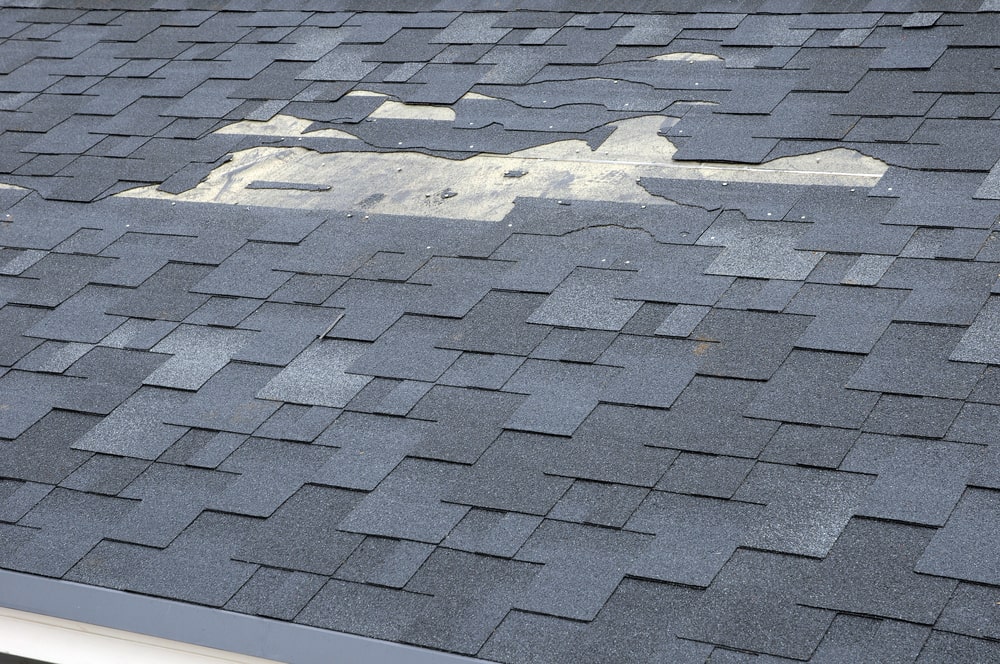 The Importance of Professional Roof Maintenance in Bridgeman Downs